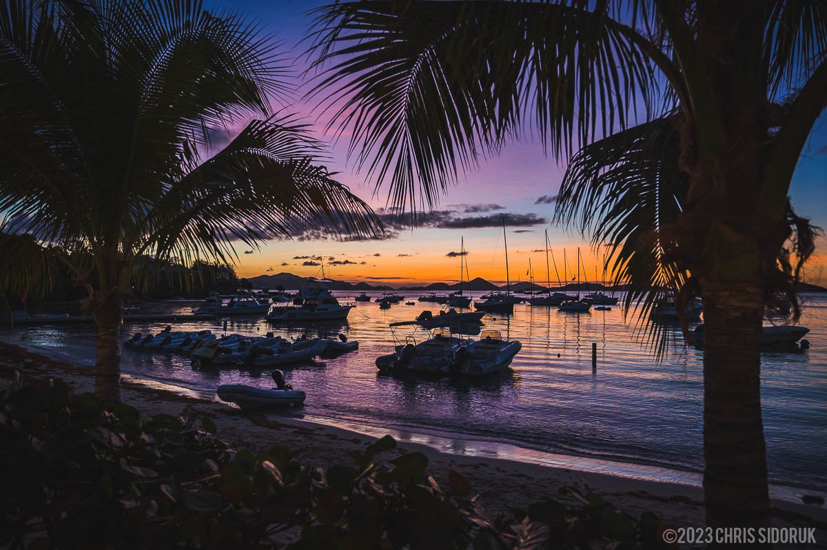 Palm trees framing a sunset harbor scene in St John USVI with boats and colorful evening sky