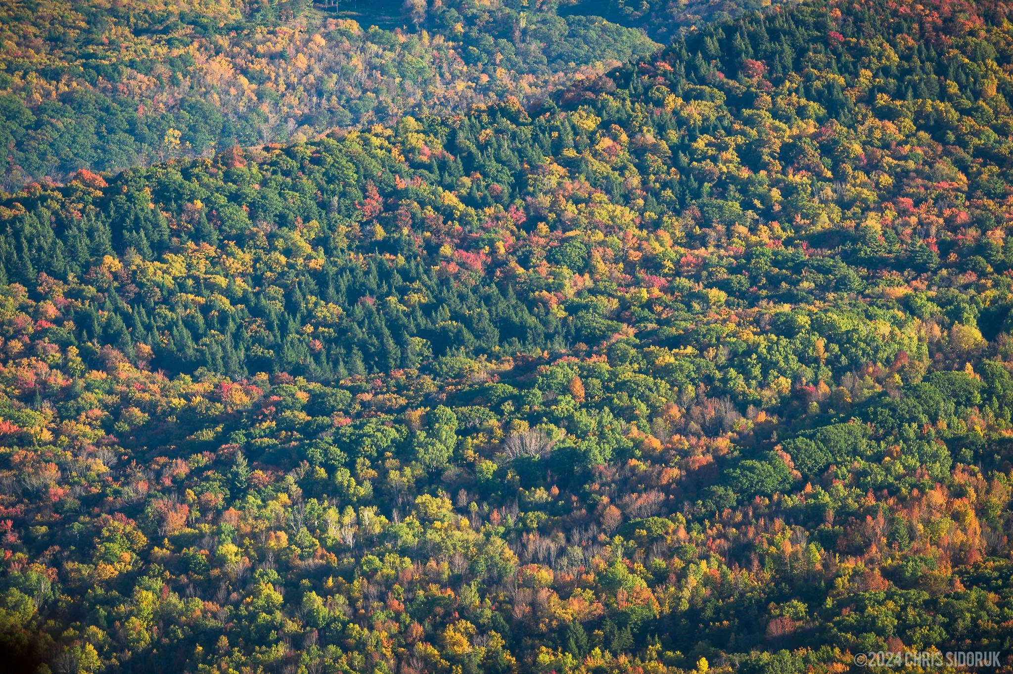 A close view of the Berkshires’ rolling hills in early October, highlighting the mix of yellows, oranges, and remaining greens.