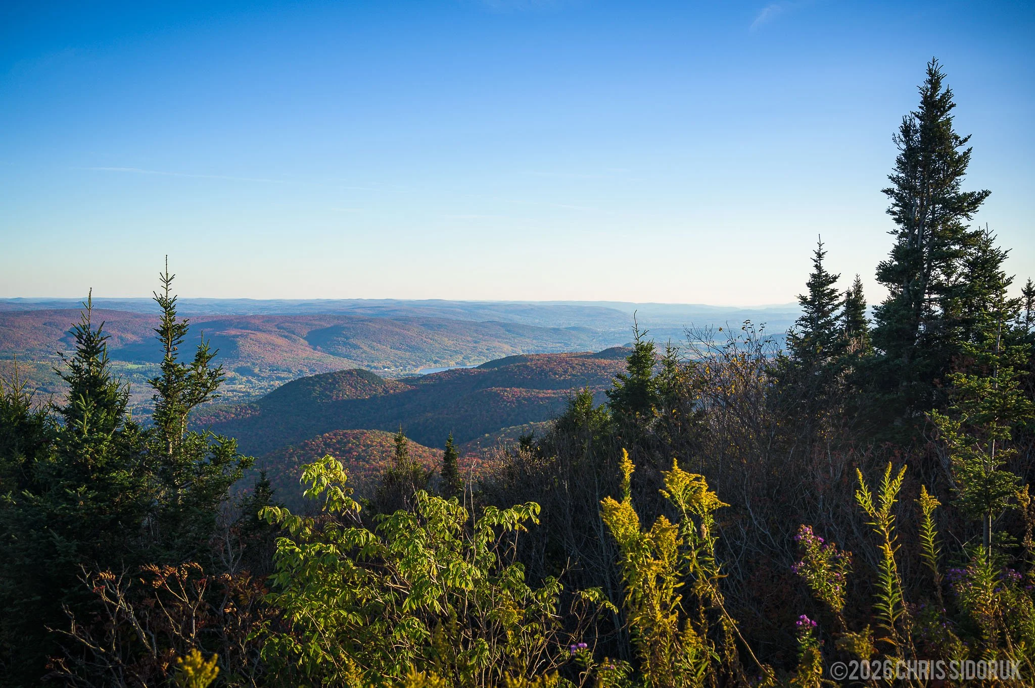 Rolling hills and valleys in the Berkshires viewed from the summit of Mount Greylock in early October 2024