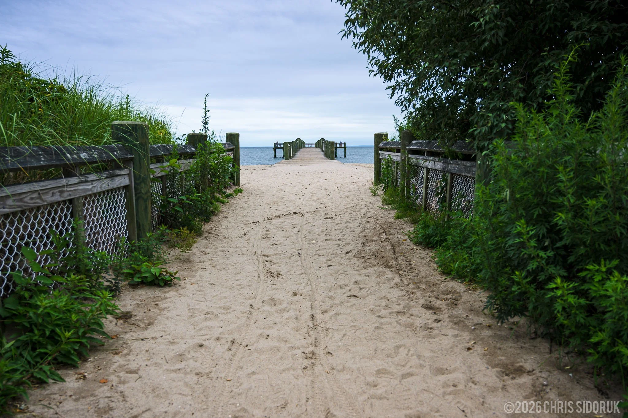 Sandy path leading to a wooden pier at Walnut Beach in Milford, Connecticut framed by coastal vegetation and fencing