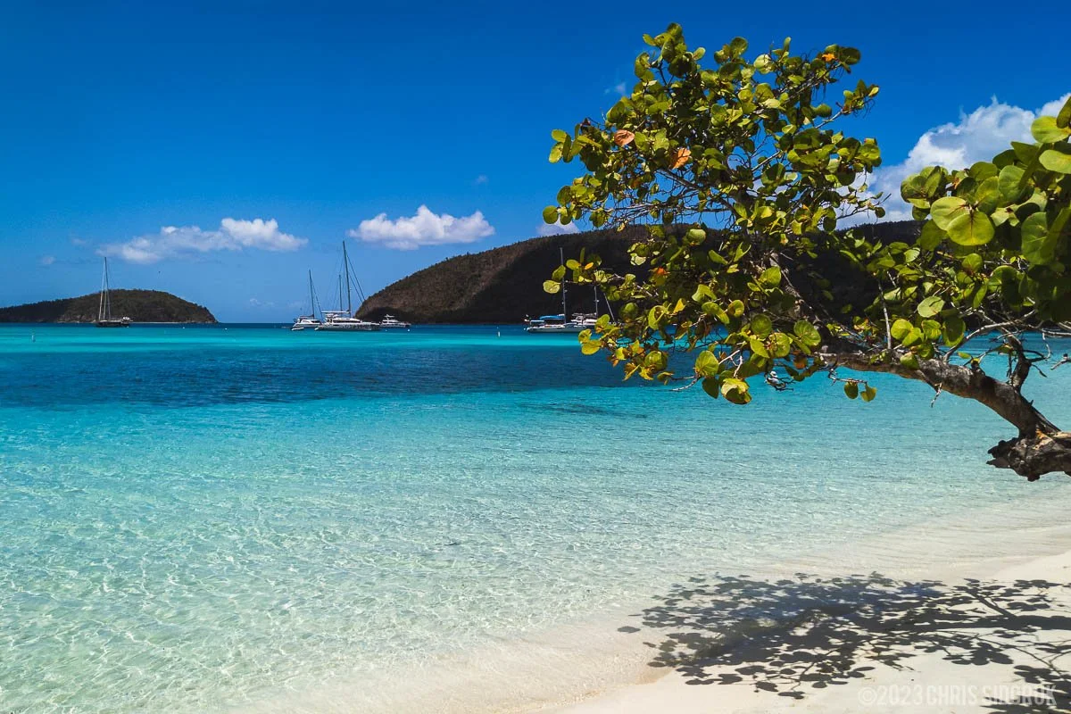 Tropical beach in St John USVI with crystal clear water, anchored sailboats, and tree framing the shoreline