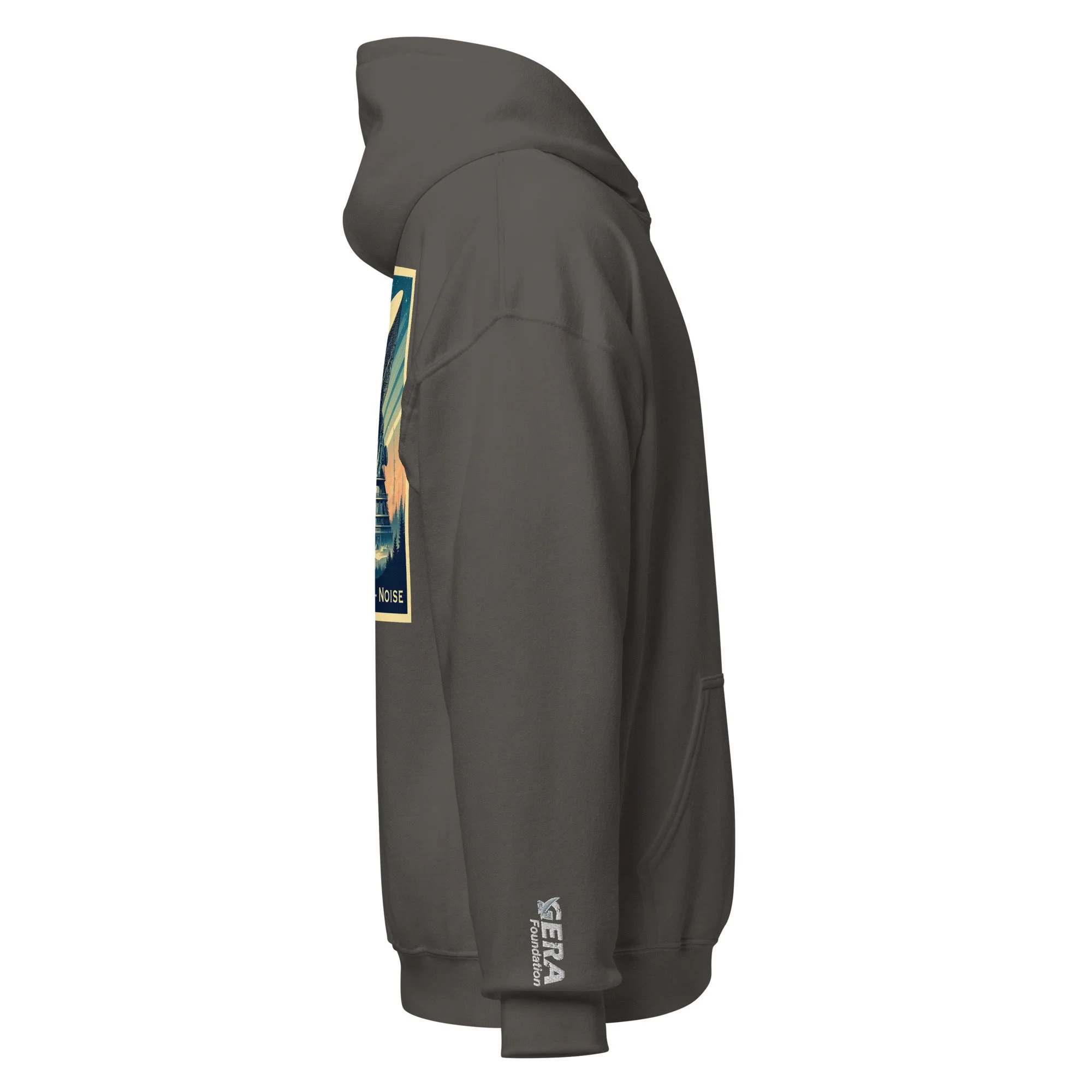 unisex-heavy-blend-hoodie-charcoal-right-6885c50f5ae27.jpg