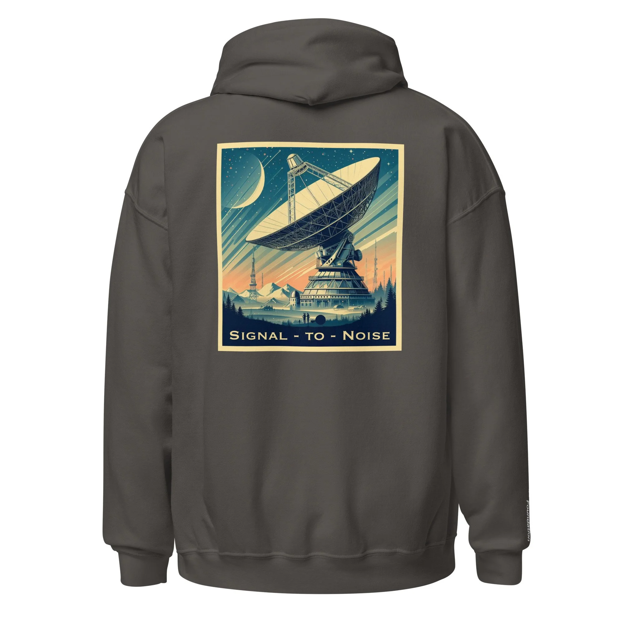 unisex-heavy-blend-hoodie-charcoal-back-6885c50f5bf70.jpg