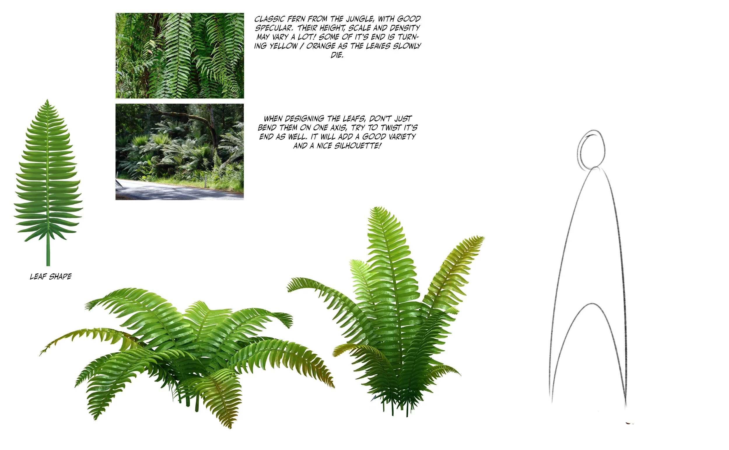 Fern 02.jpg