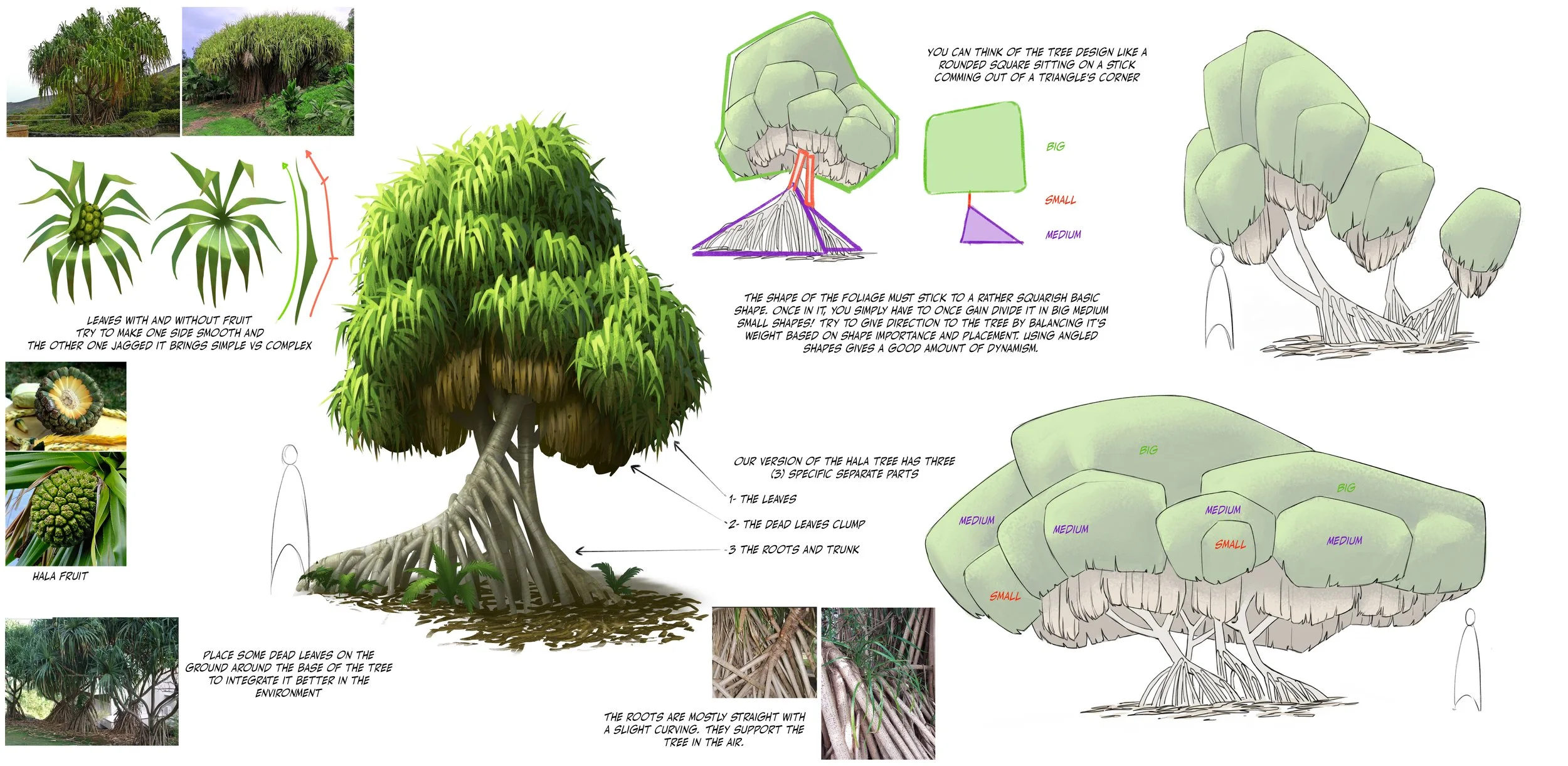 hala tree 02.jpg