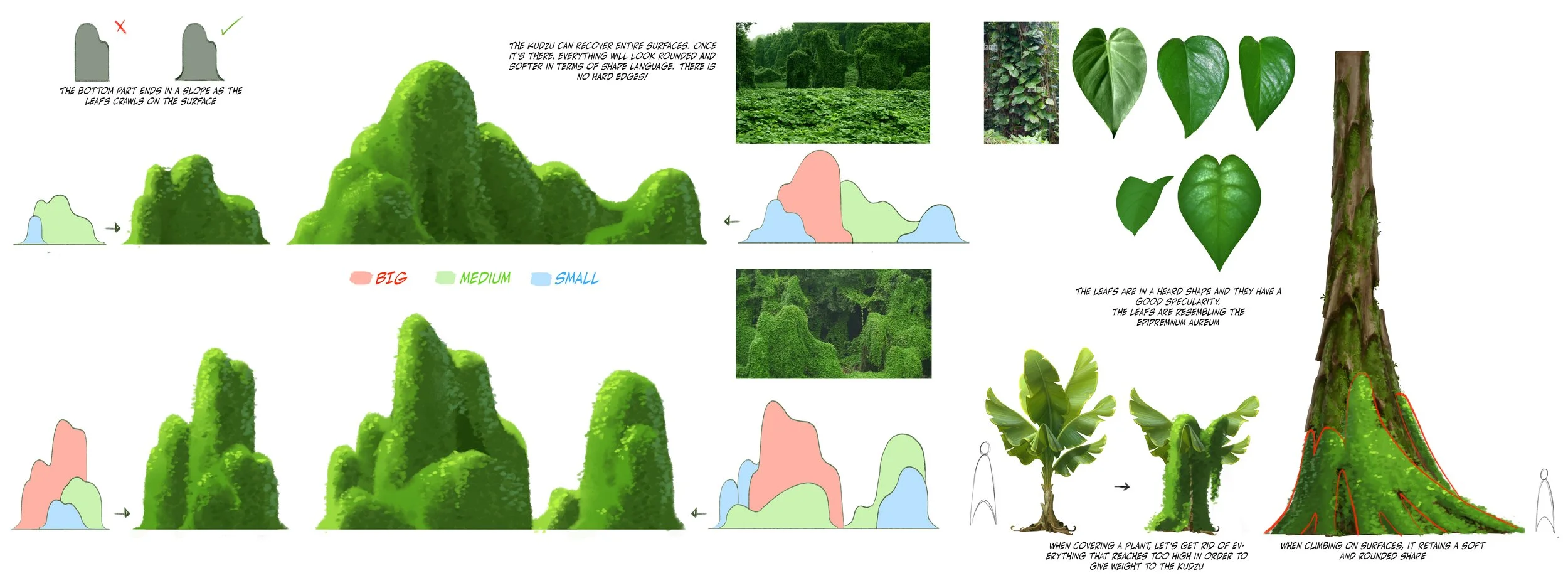 kudzu plant 02.jpg