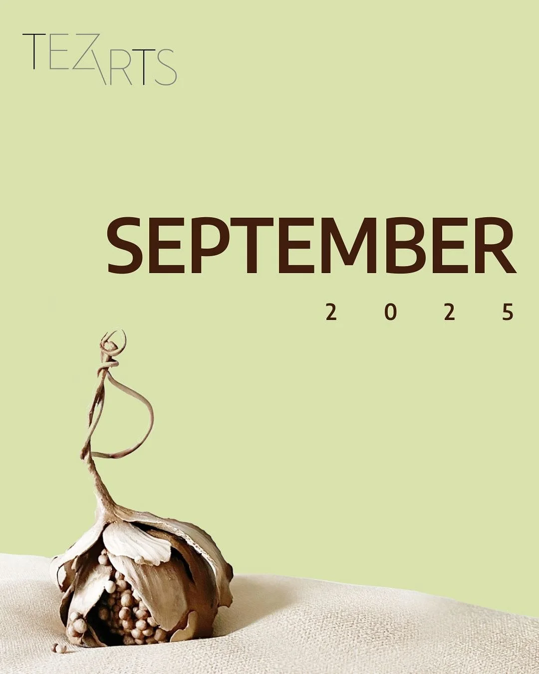 A new season begins! 🌟 We&rsquo;re kicking off an exciting year of music, creativity, and unforgettable performances.
🎟️ Don't forget to get your tickets!
.
.
.
.
#classicalmusic #tezarts #classics #piano #tenor #soprano #conductor #composer #trump