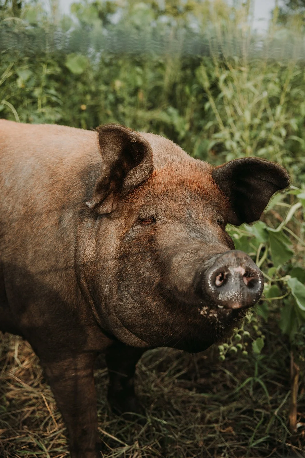 Sneak Peaks_Fond Dinner_Burning Barrel (12 of 40) copy.jpg