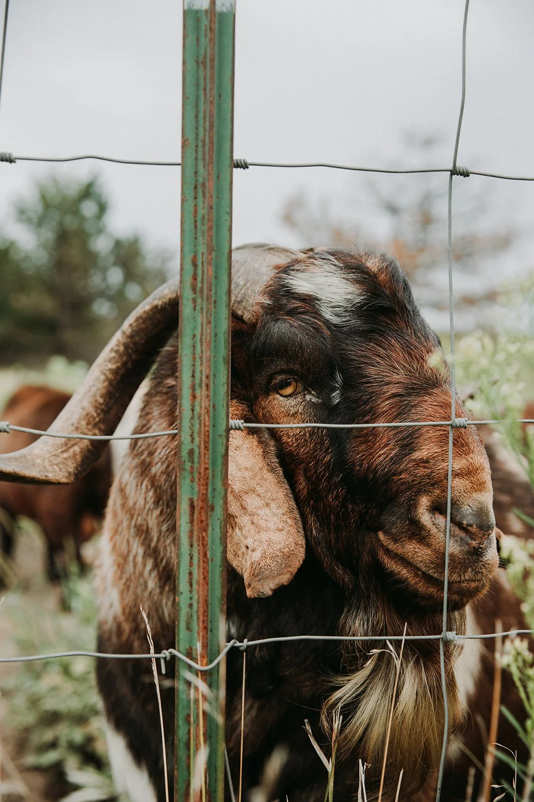 Sneak Peaks_Fond Dinner_Burning Barrel (23 of 40) copy.jpg