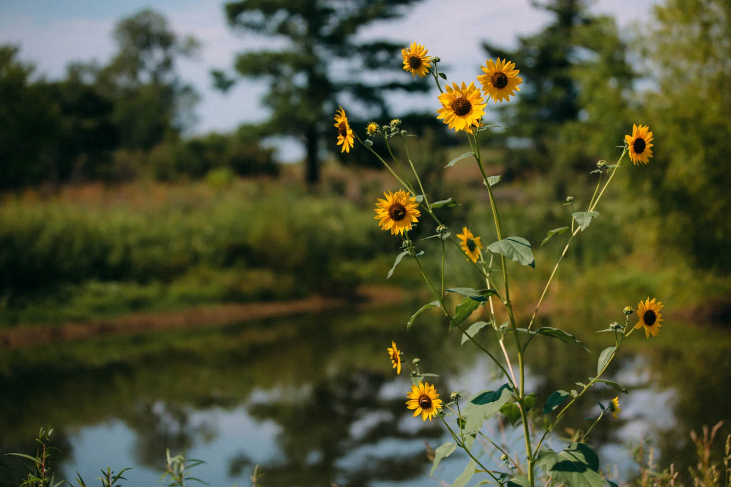 Burning Barrel-220.jpg