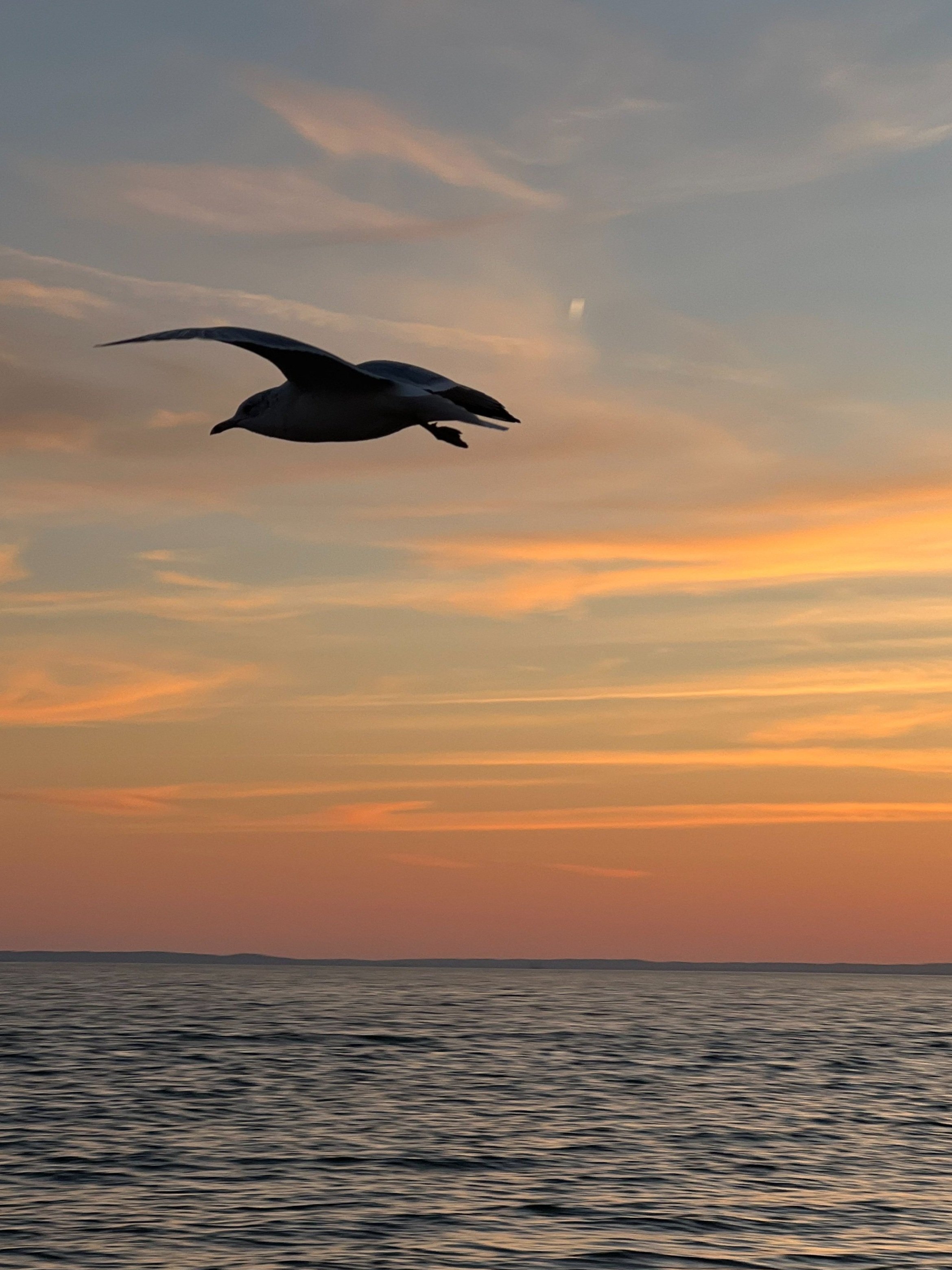 WINTER ONE/ "There is another world but it is inside this one”-Paul Éluard