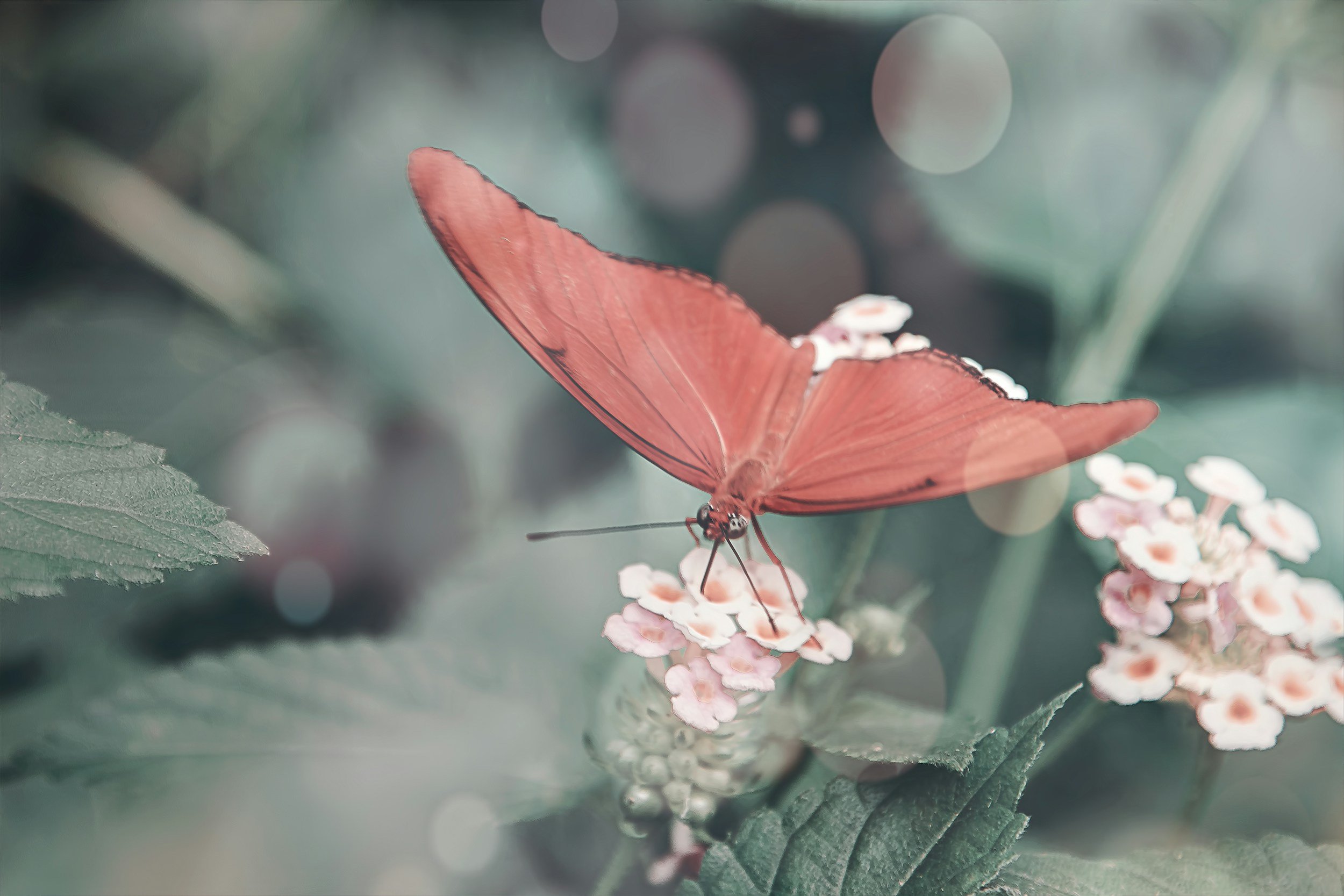 Traits of Highly Sensitive People 