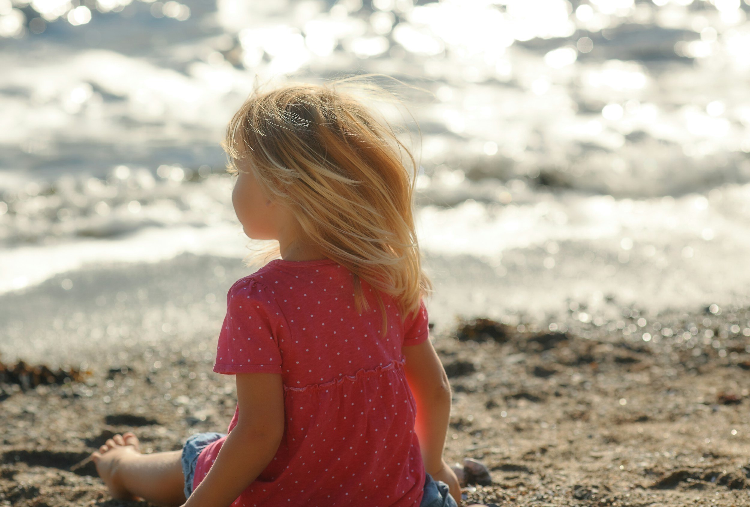 young girl, blonde hair, sitting on the sand looking at the sea