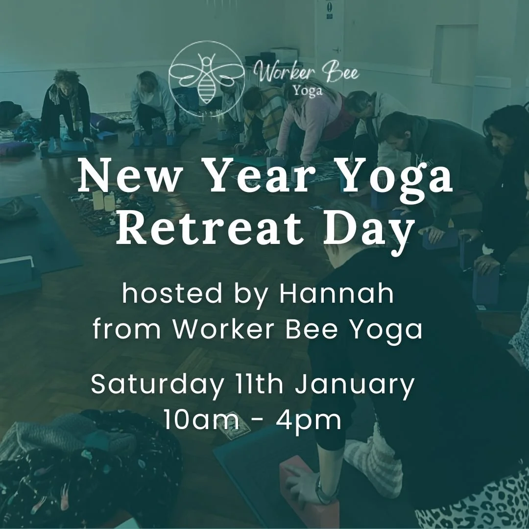 Group of people participating in a yoga class in a studio with wooden floors and mats, hosted by Worker Bee Yoga for a New Year Yoga Retreat Day.
