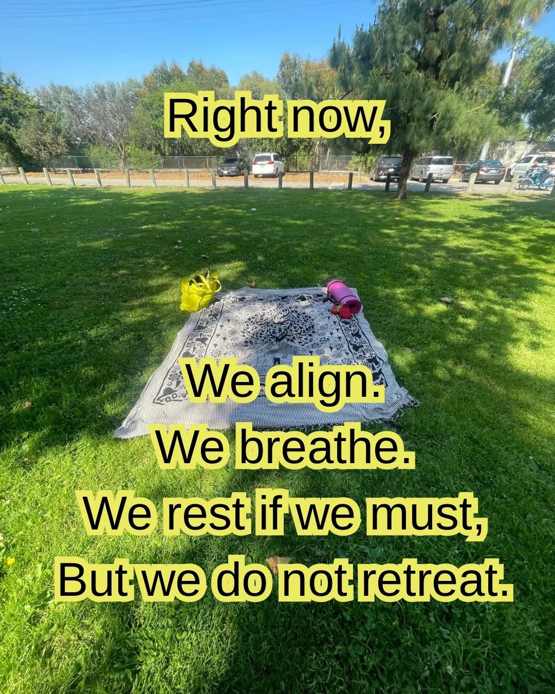 And when the time is right— We will move like thunder - 4.jpg
