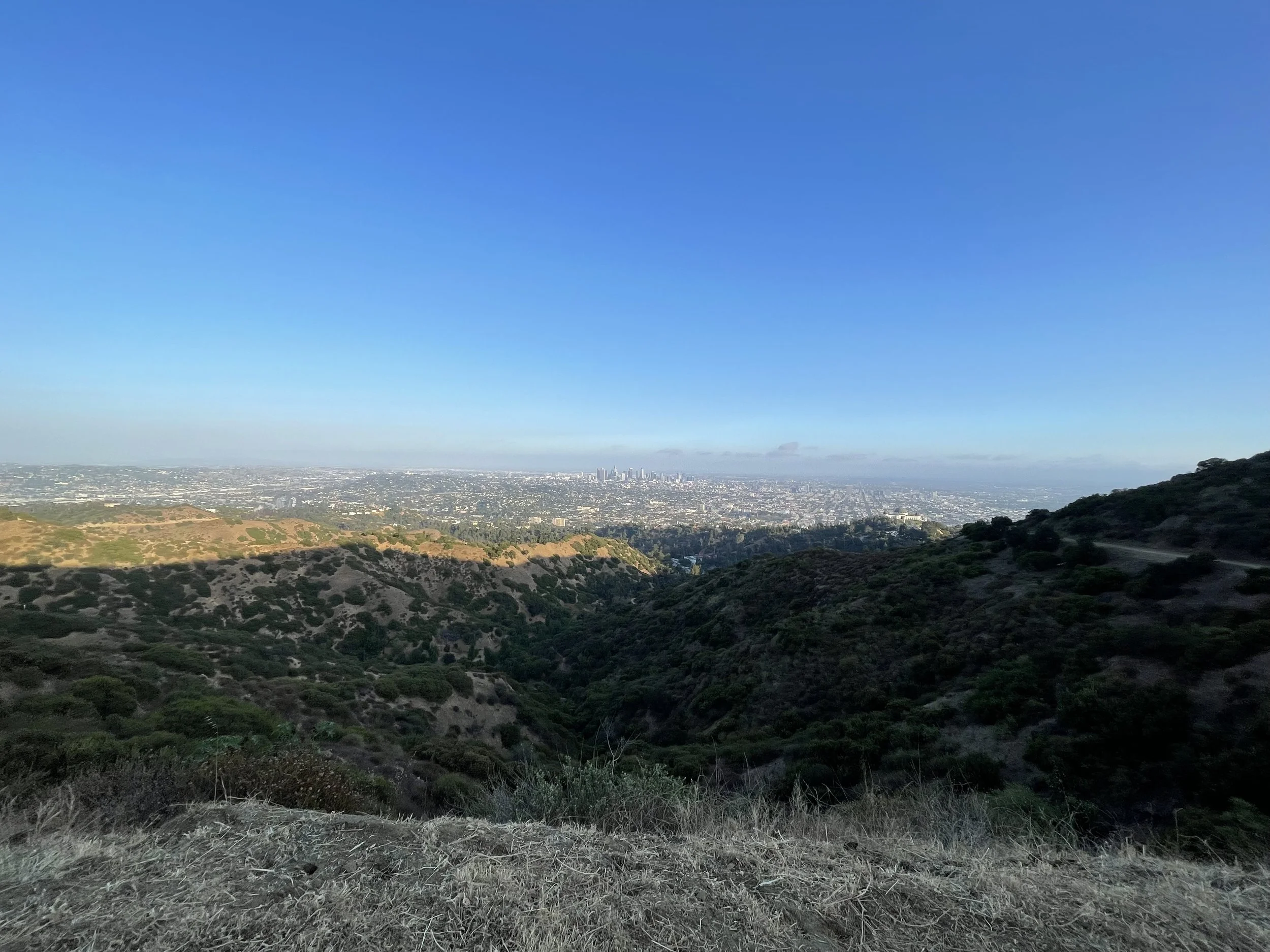 VIew of the city from Mt. Hollywood