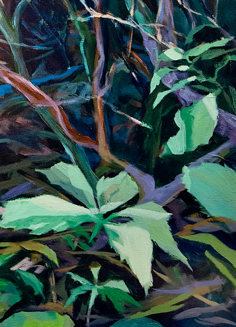 thicket-detail1.png