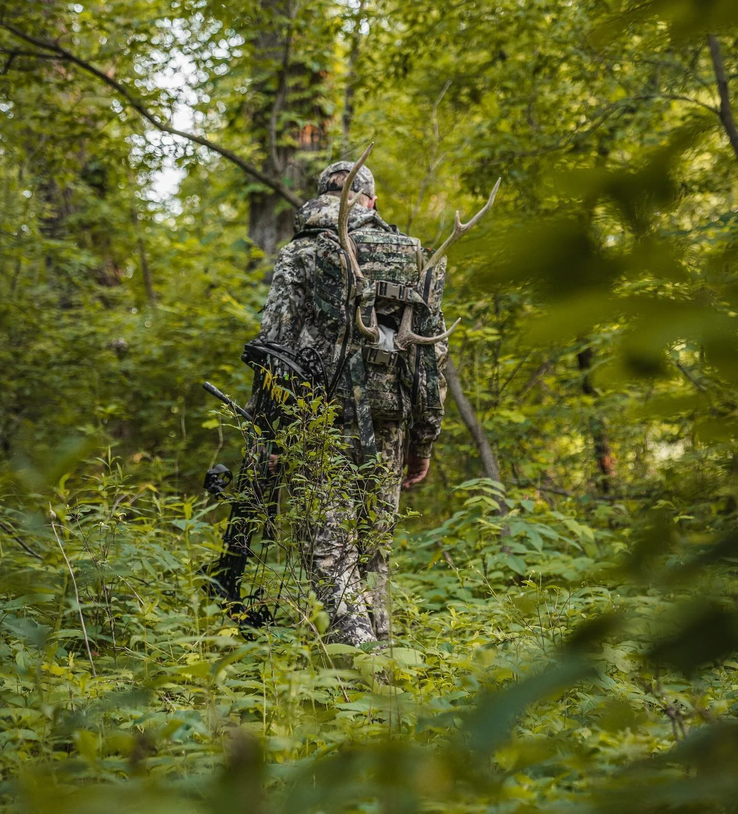 There is always a season for something!