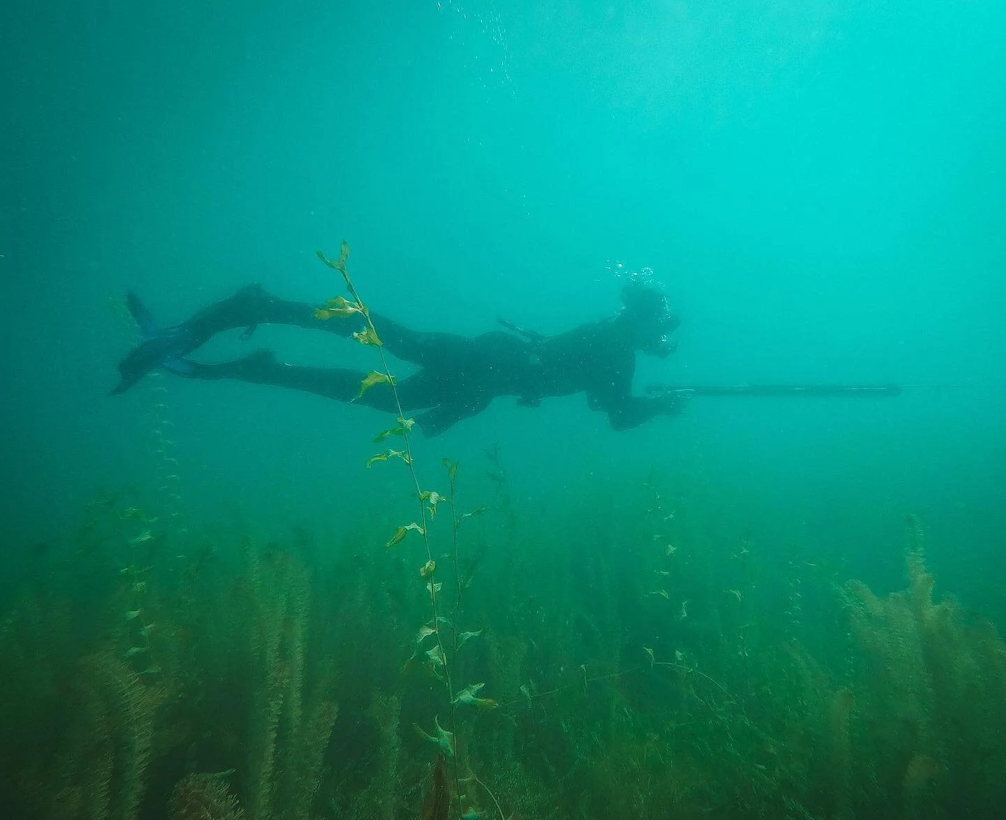 We are just as active below the surface as we are above. 

#media #diving #underwater #gopro