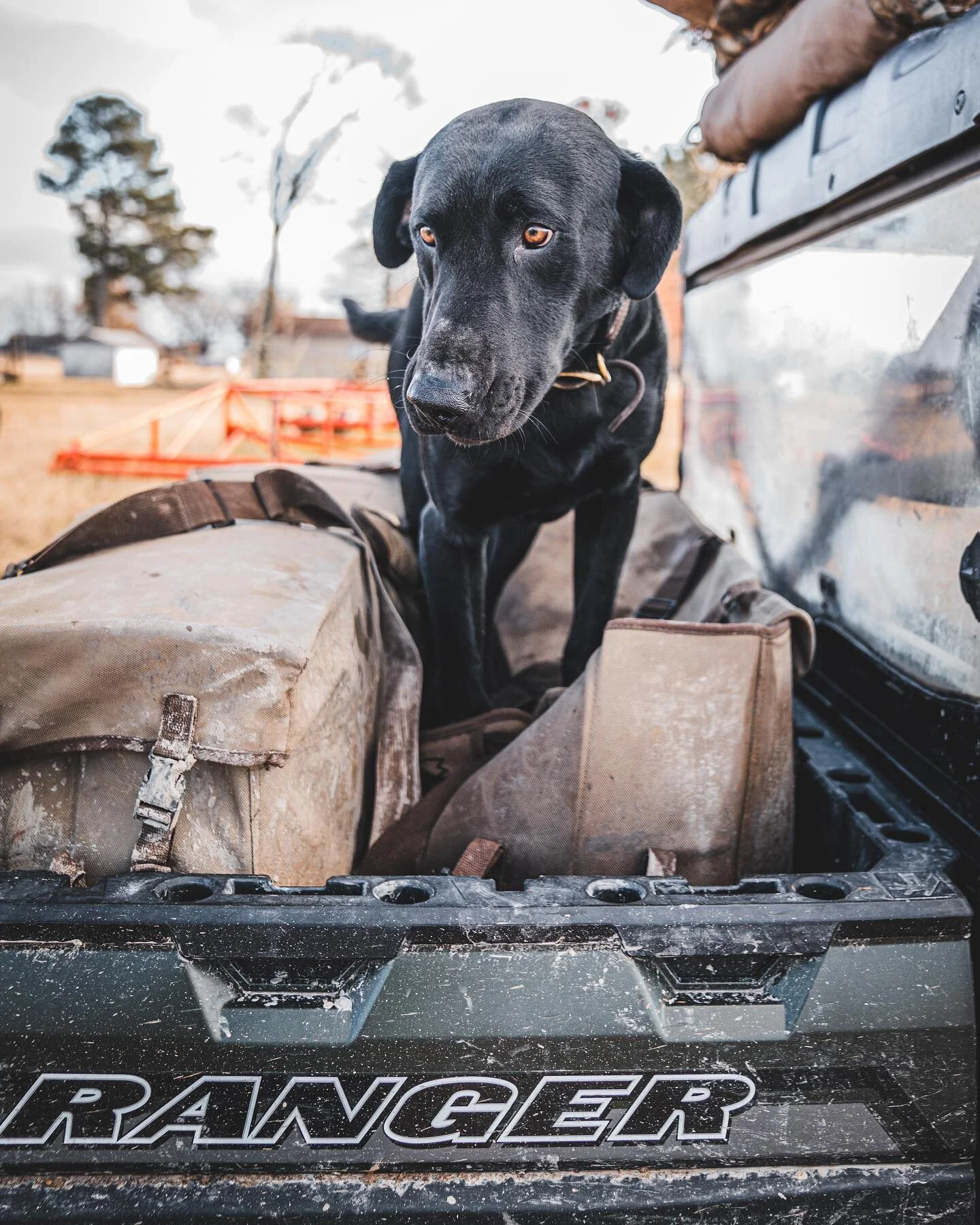 The best kind of cargo.