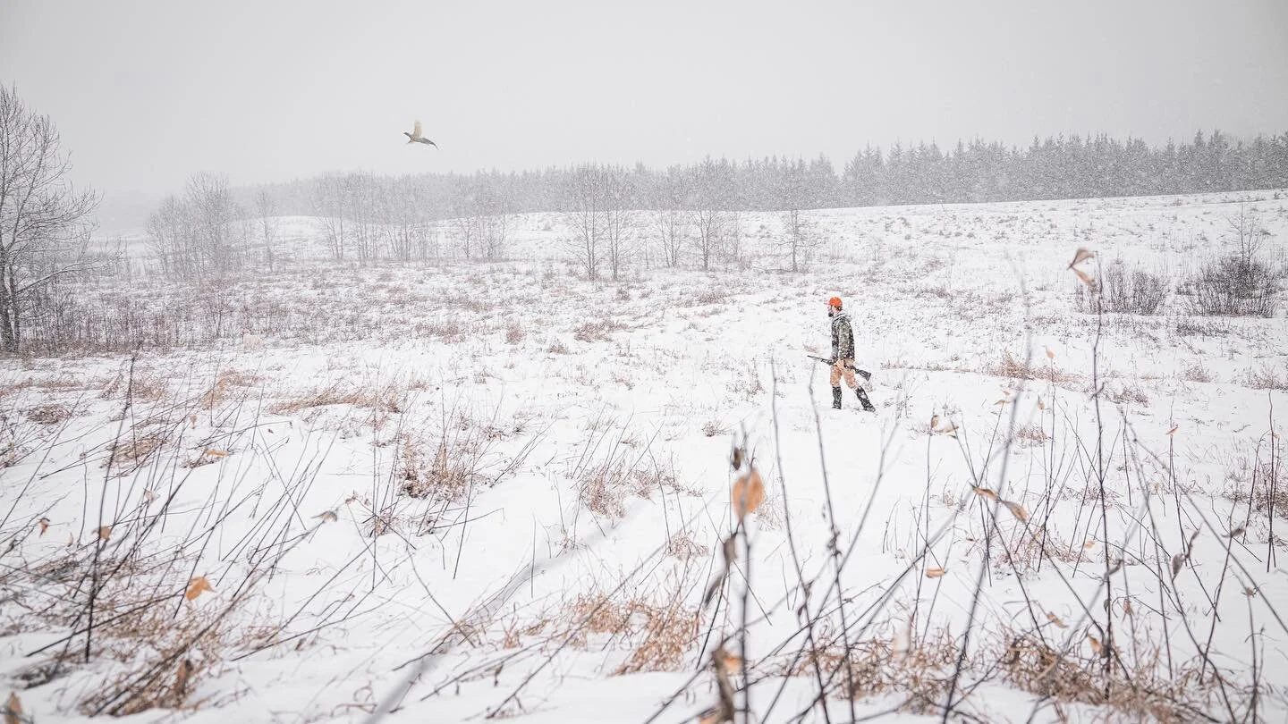 Something about hunting pheasants is just so nostalgic. Just takes me back in time.
