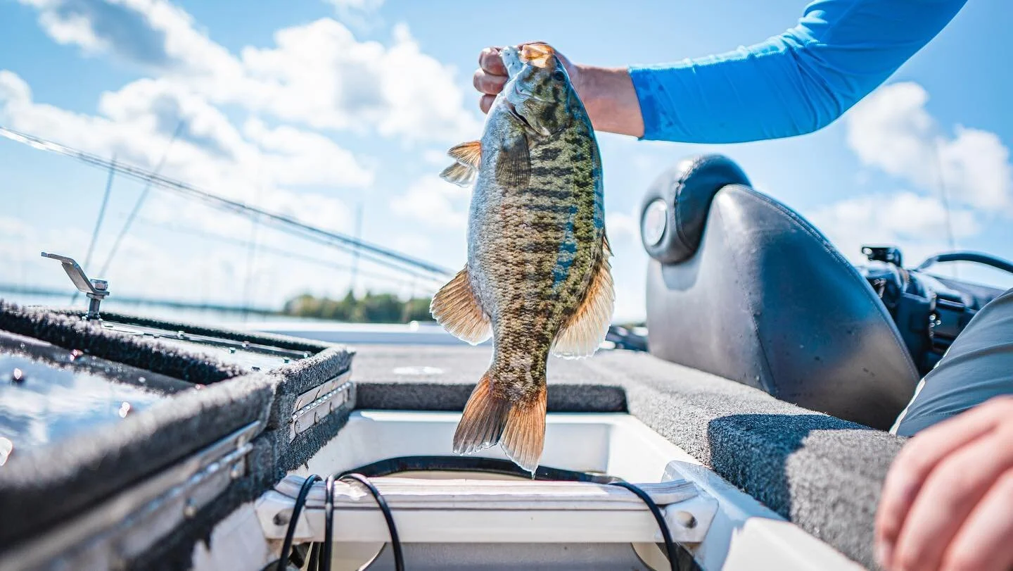 Ready for some full summer live wells. In need of some smallies fights. 

#fishing #smallmouthbass #bassfishing #smallmouth #fish