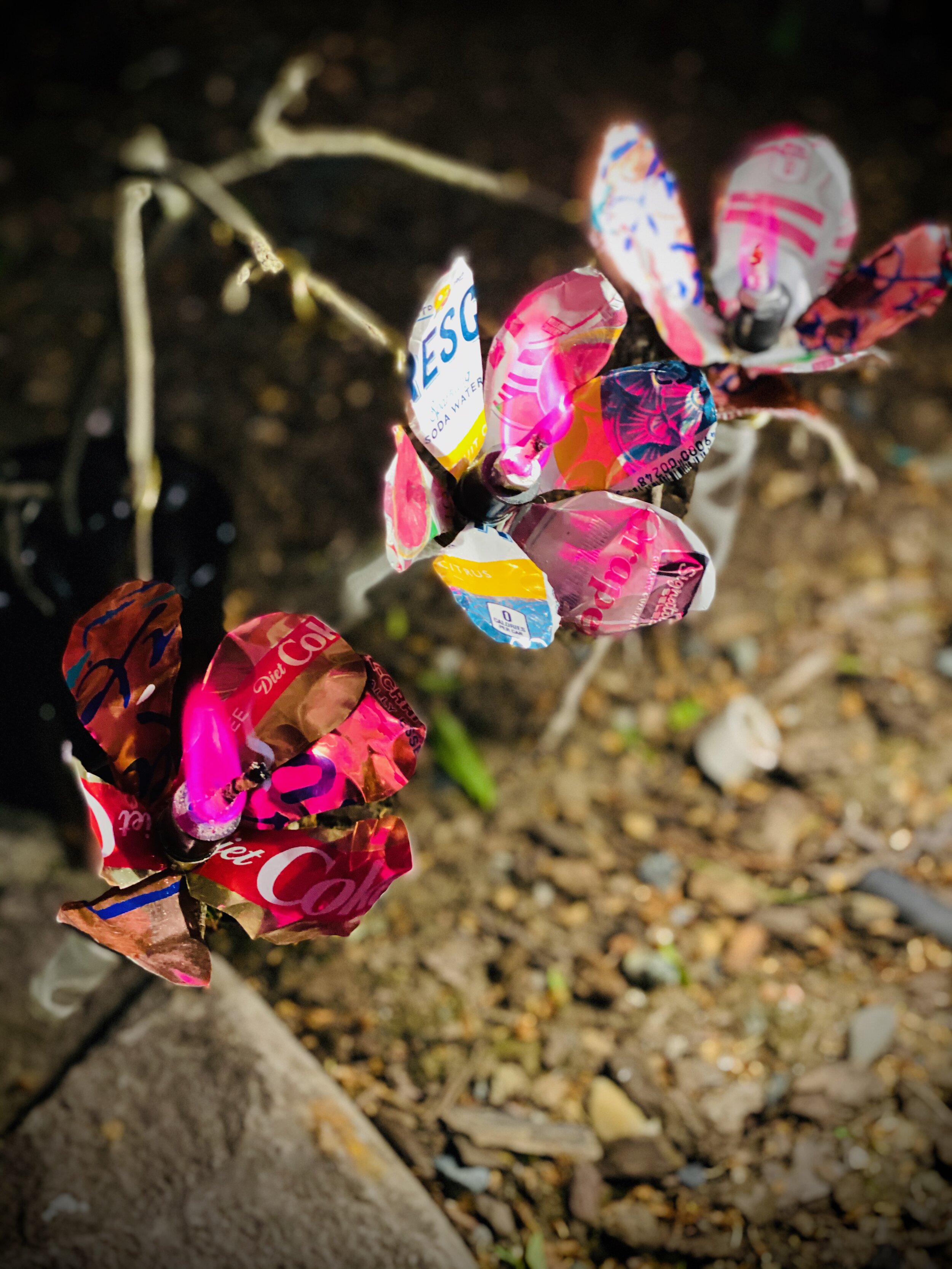 IMG_9494.jpeg