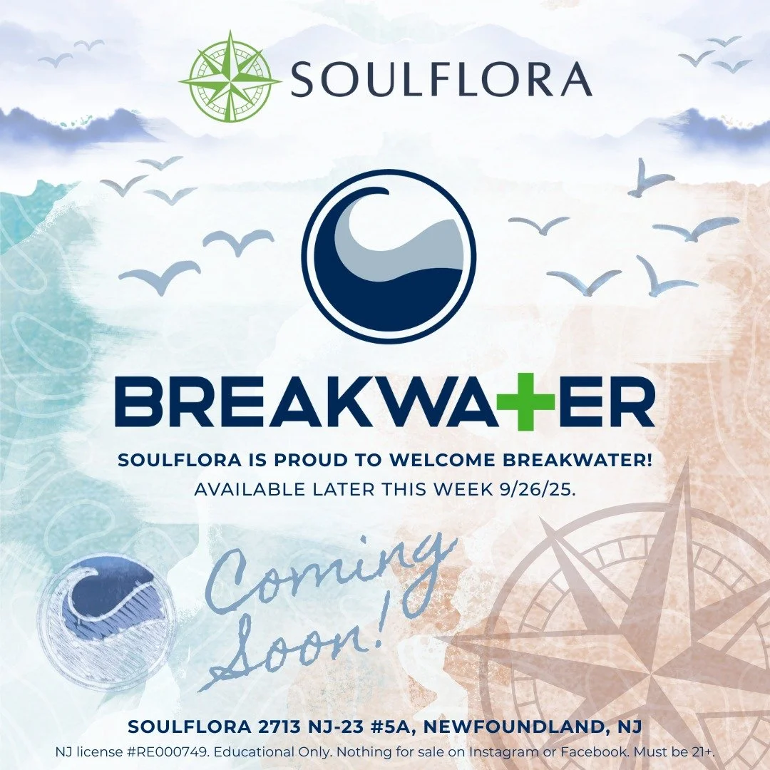 🌊 BREAK-ing News!

SoulFlora is proud to welcome @breakwater_cannabis to our shelves, arriving later this week!

Founded in 2015 as one of NJ&rsquo;s first six disp, Breakwater has been leading the way in the canna community ever since. For many of 