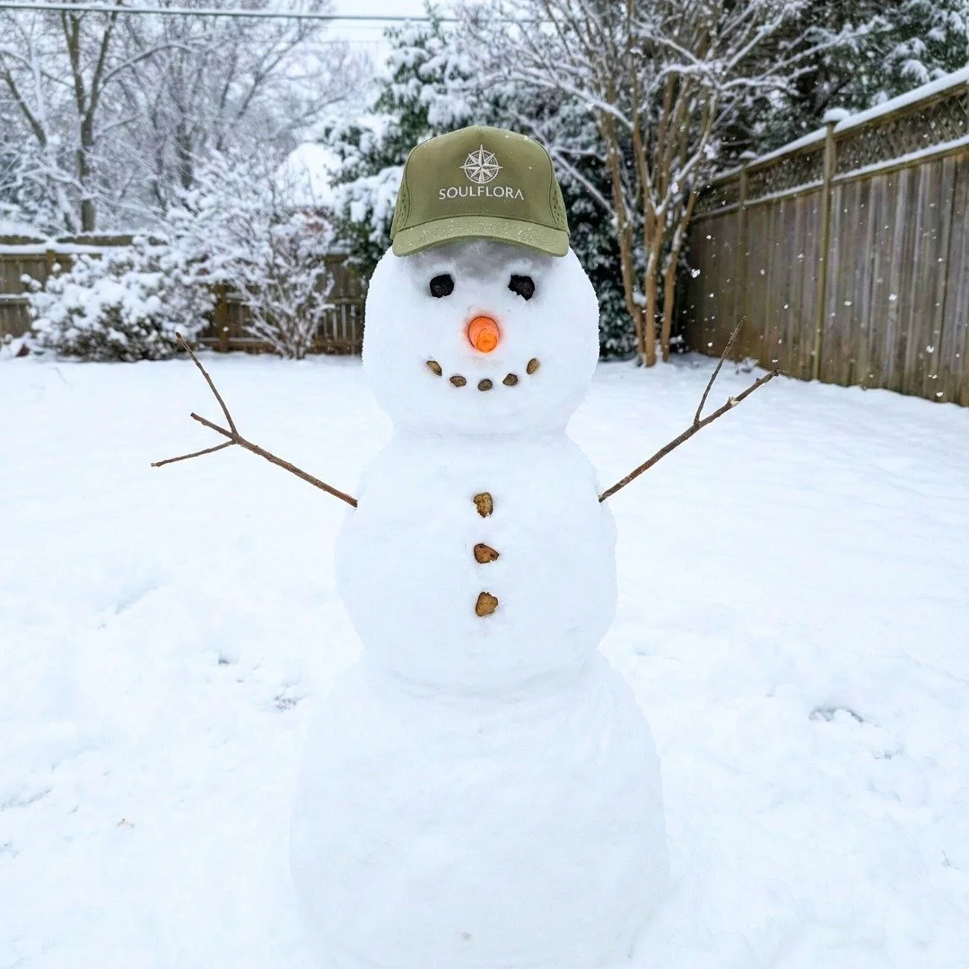 Happy World Snow Day ❄️

#snowday
#worldsnowday
#isitspringyet
#soulflora