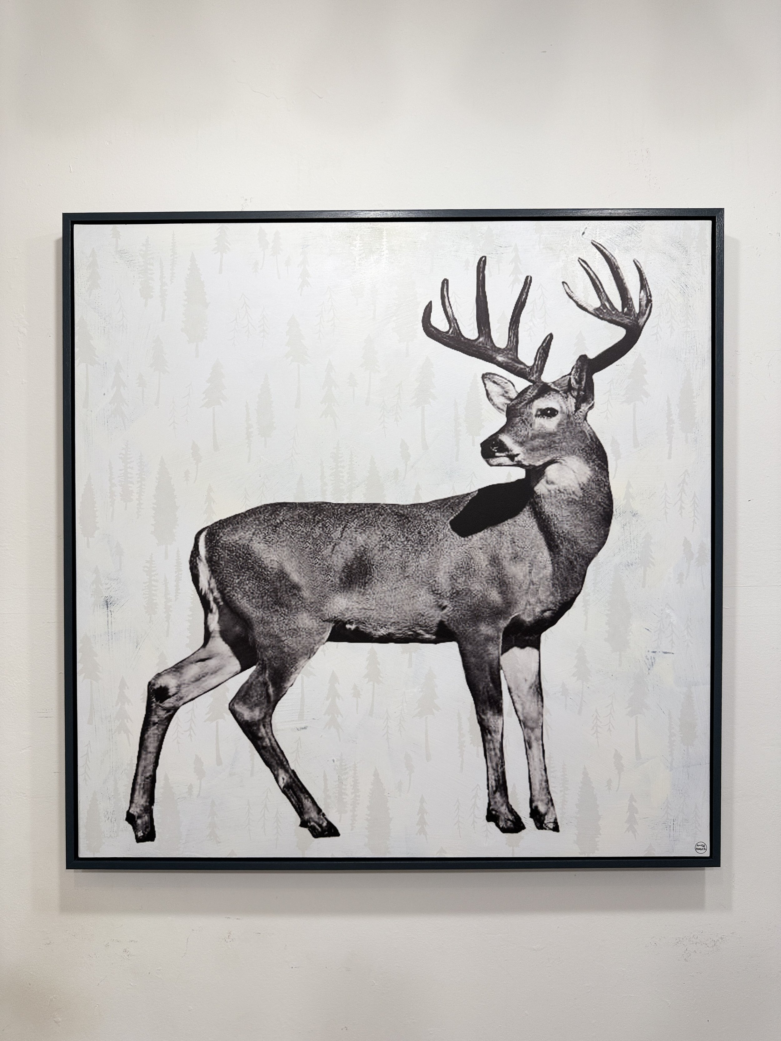 2.1Wistful_Whitetail.JPG