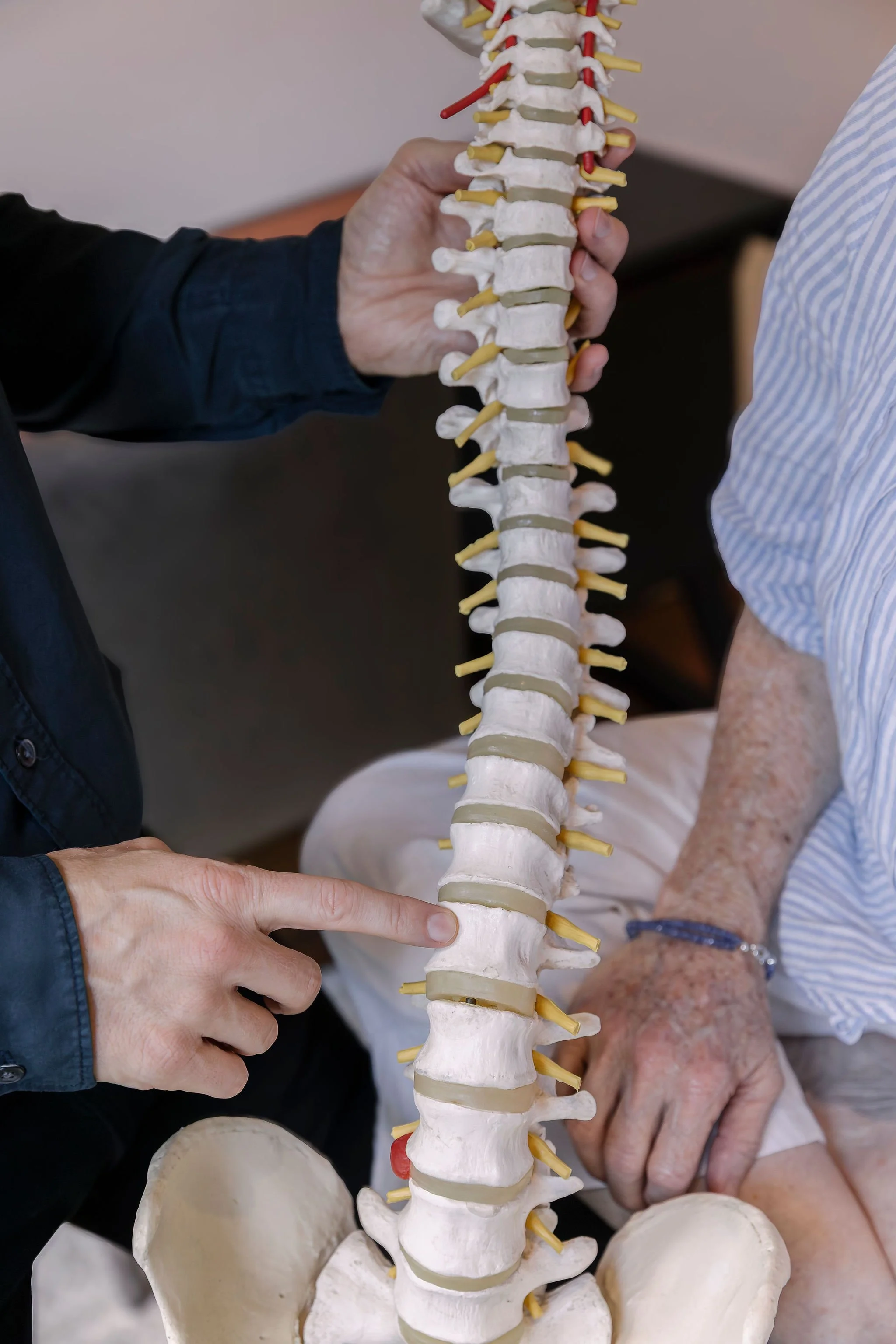 What Nervous System Regulation Actually Means