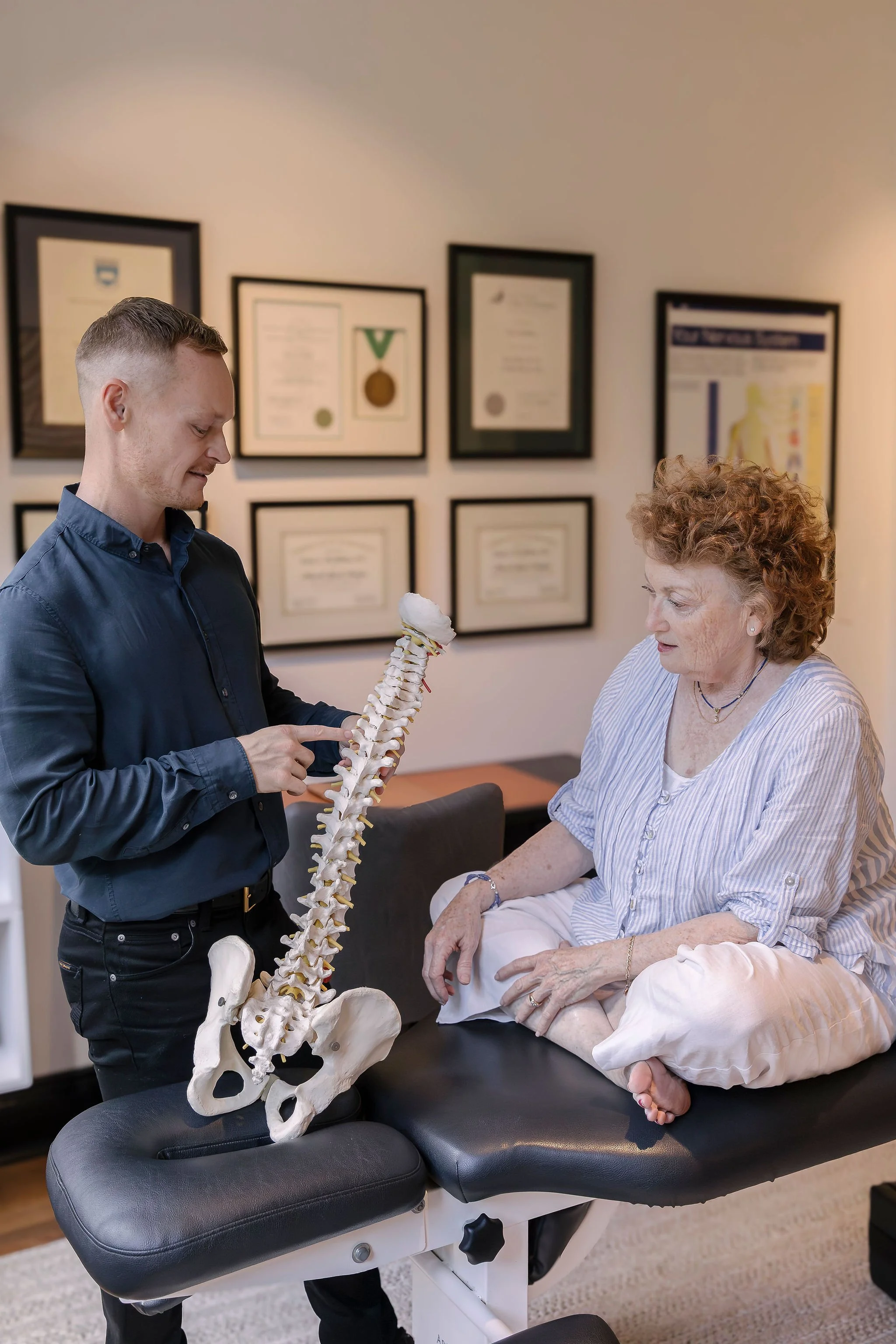 Network Spinal Nerve System Healing Sydney