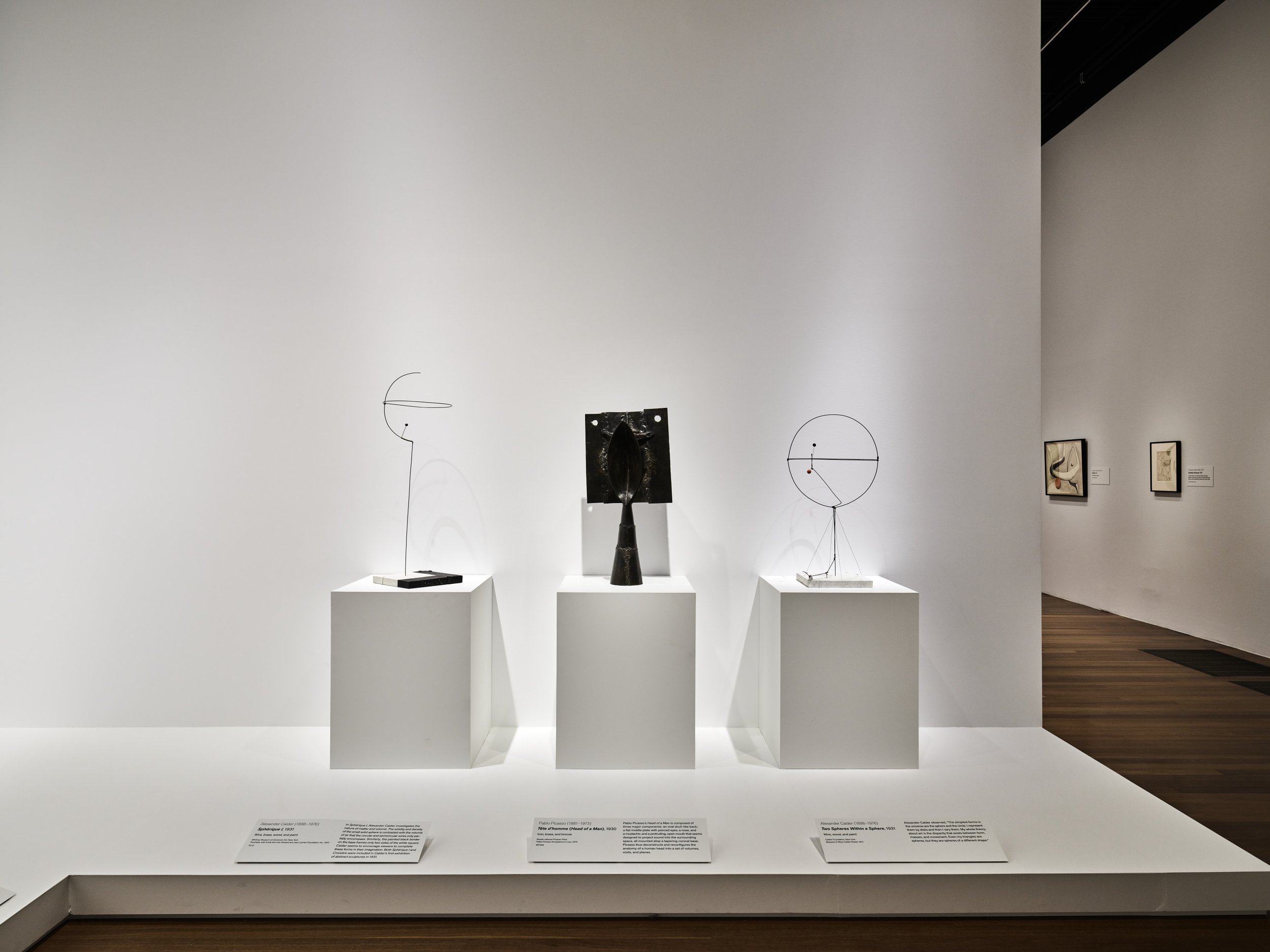 2021_PICASSOCALDER_INSTALLATION_V40_5.jpg