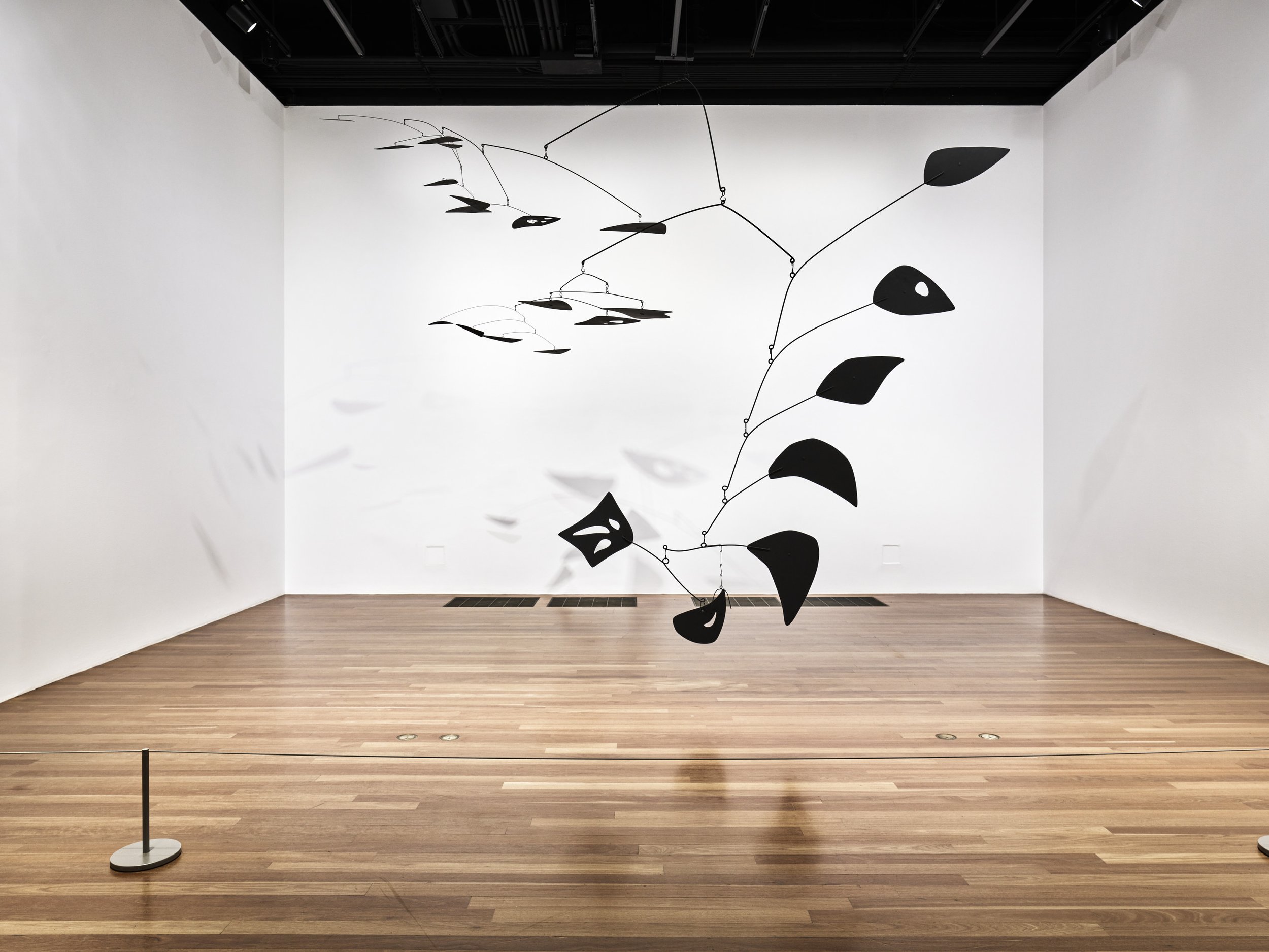 2021_PICASSOCALDER_INSTALLATION_V74_5.jpg