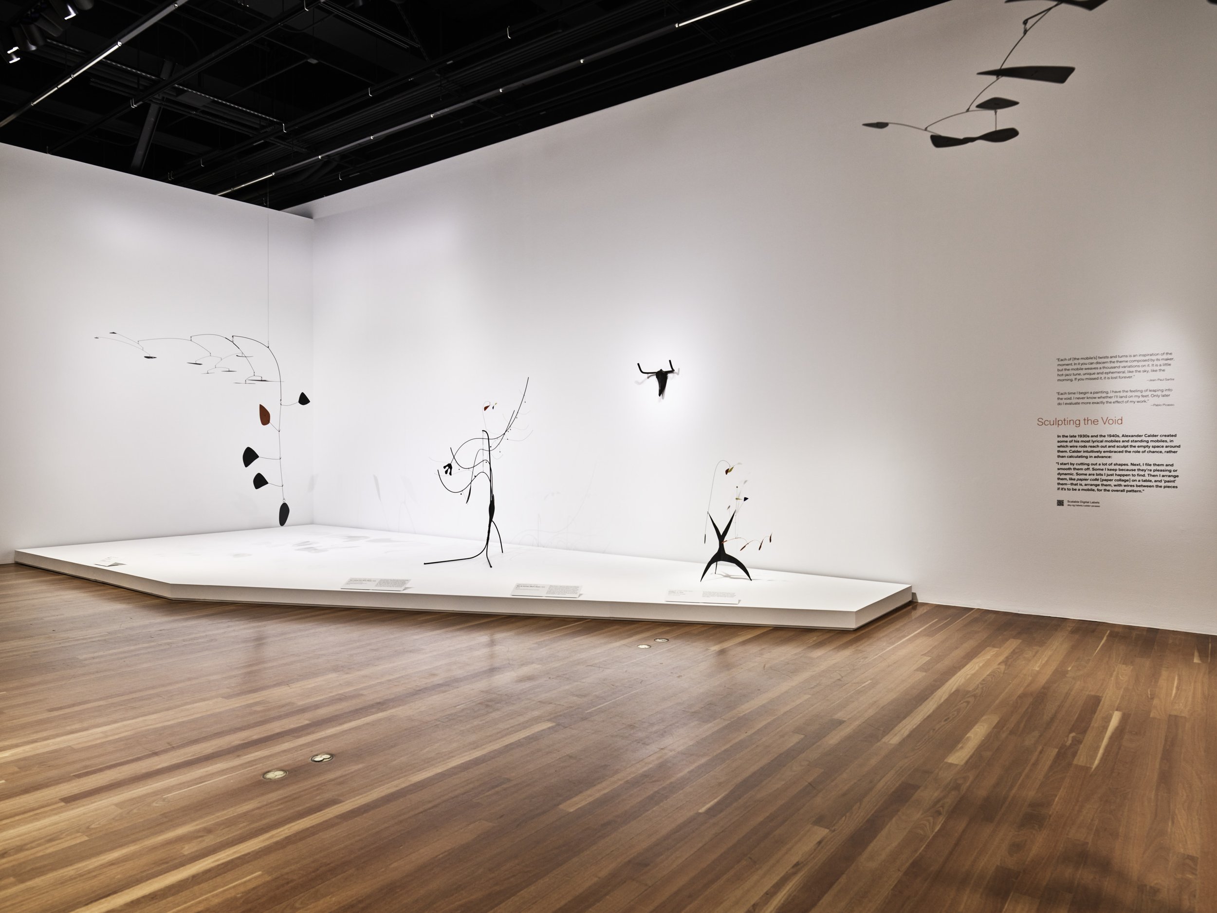 2021_PICASSOCALDER_INSTALLATION_V62_5.jpg