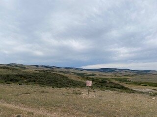 IMG_8250.jpg