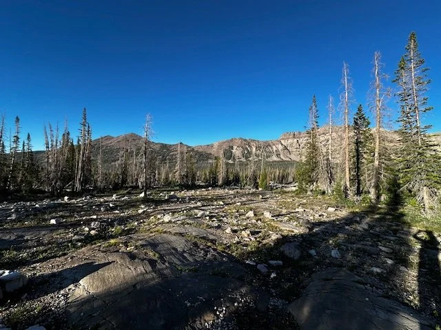 IMG_1366.jpg