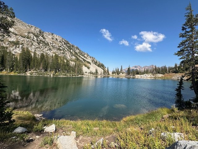 IMG_3527.jpg