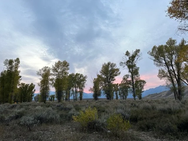 IMG_3817.jpg