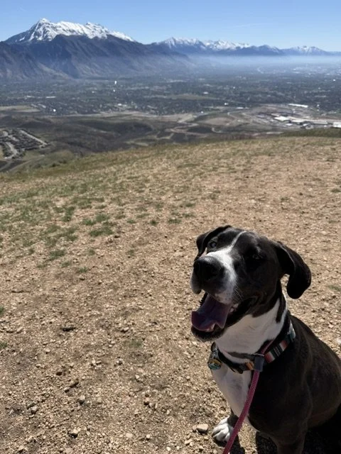 IMG_0043.jpeg