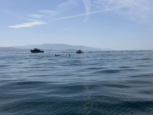 IMG_0069.jpeg
