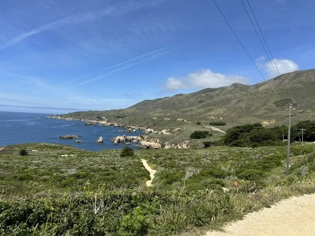 IMG_4354.jpeg