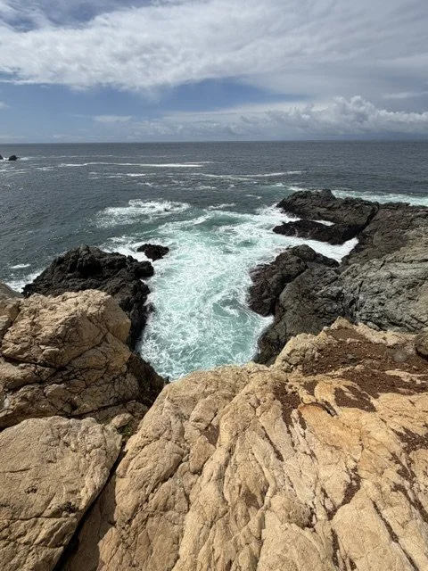 IMG_0126.jpeg
