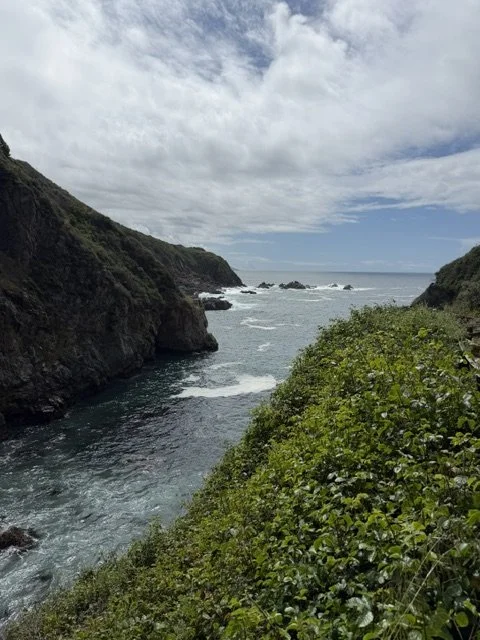 IMG_0125.jpeg