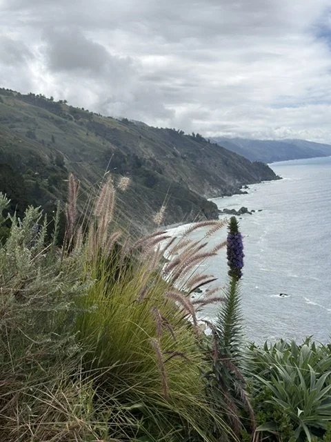 IMG_0123.jpeg