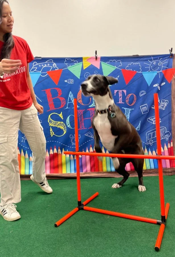 rita-bark to school gym 8-17-2026 #5.JPG