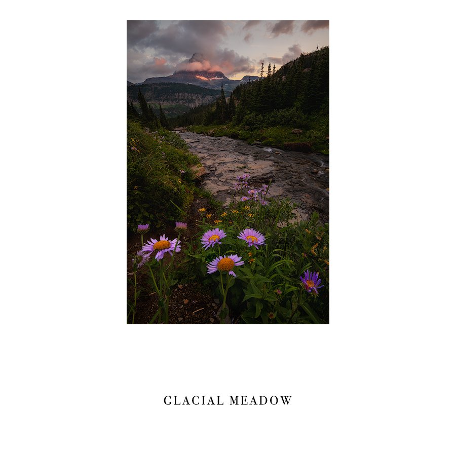 Glacial Meadow template.jpg