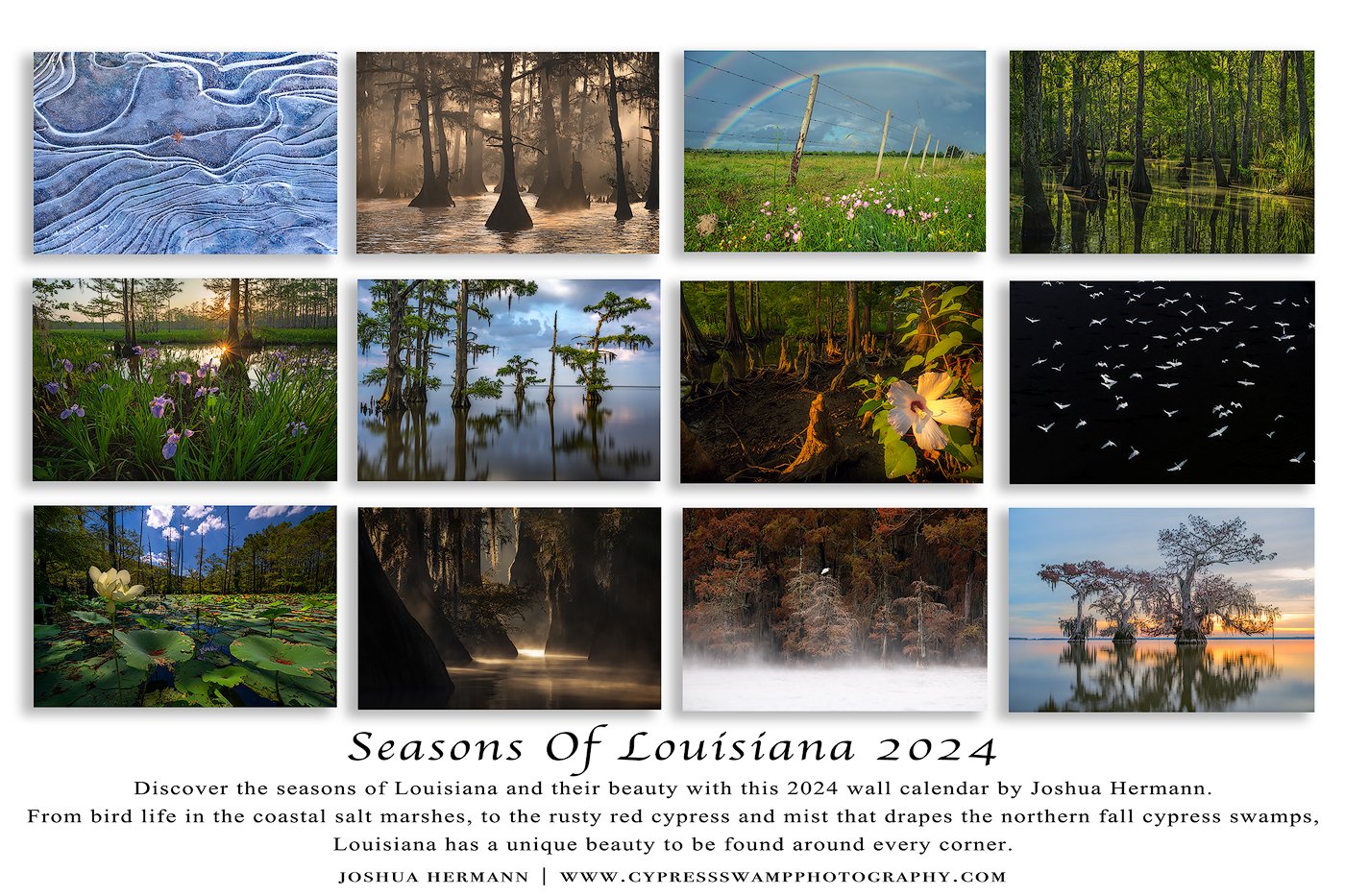 Seasons Of Louisiana Calendar Back-1400.jpg