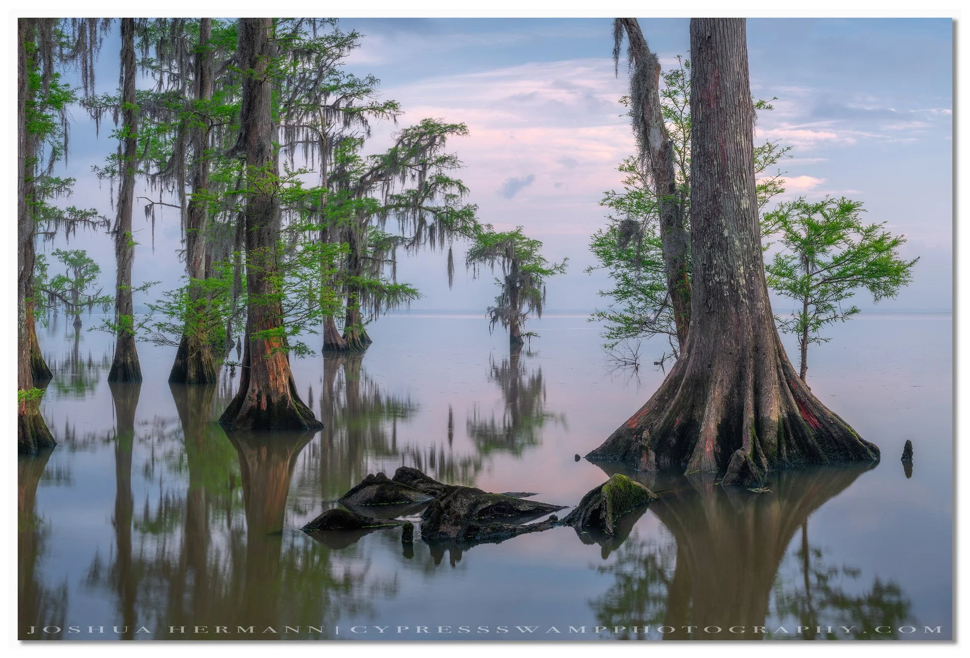 spring morning on lake maurepas