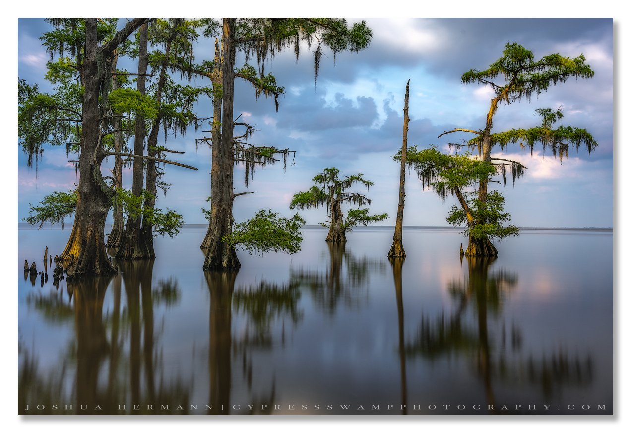 summer sunset in the machac swamp